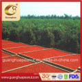 Dried Goji Berry From China